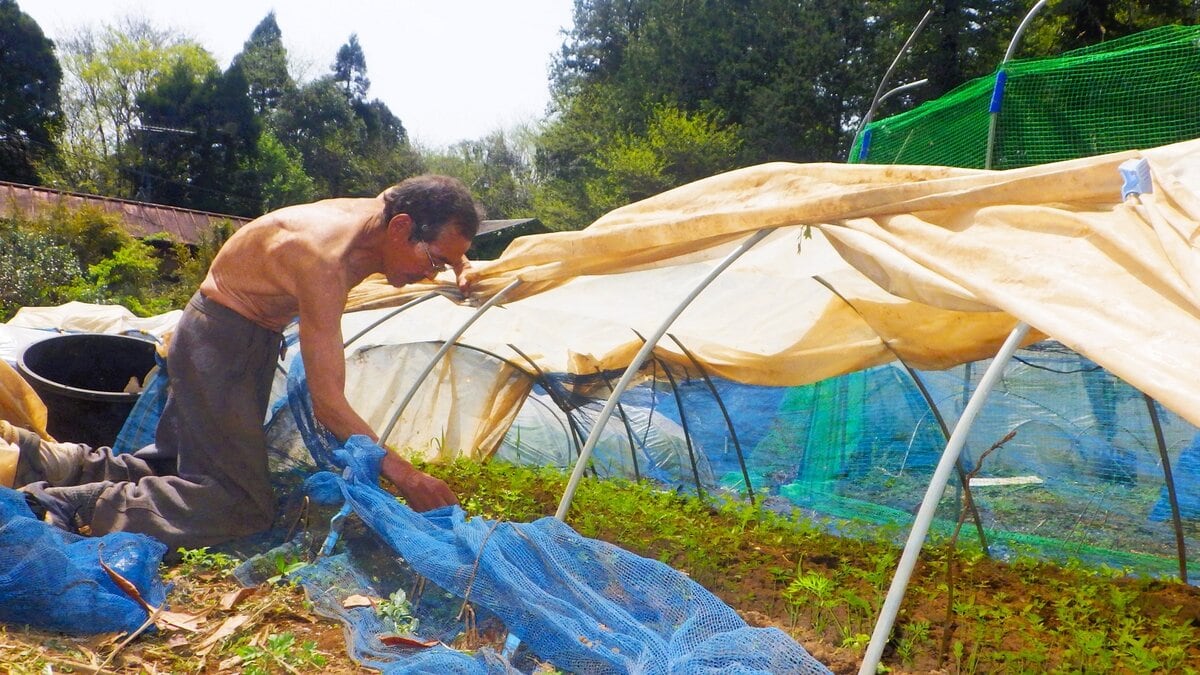 ぜんぜん暇じゃない、しかし人生ぜんぜん退屈でもない。だって、明るい太陽と青い空、食べる物だっていっぱいあるんだもの・・・それが、近々、アナタも手に入れるであろう「田舎暮らし」なのである。