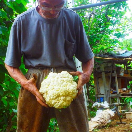 一番大切なことを見失わない生き方／自給自足を夢見て脱サラ農家40年（69）【千葉県八街市】