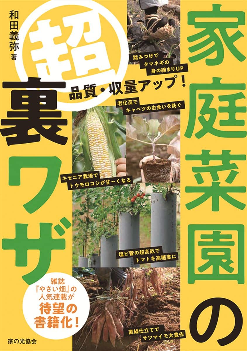 家庭菜園の超裏ワザ