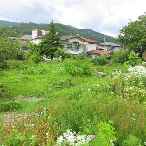 岩手県遠野市の物件の菜園スペース。充分な広さがあります