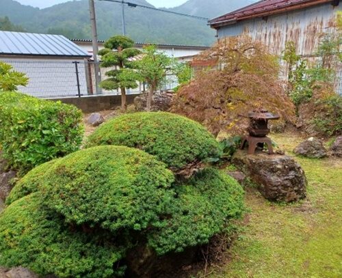 島根県雲南市の物件の庭。趣ある日本庭園になっています