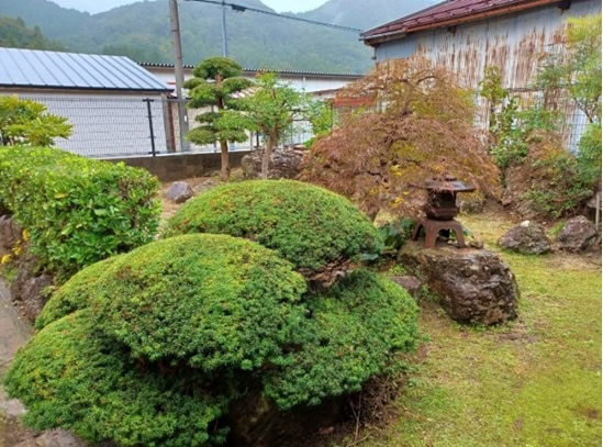 島根県雲南市の物件の庭。趣ある日本庭園になっています