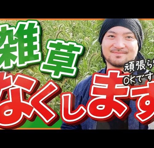 「雑草は抜くな！」家庭菜園初心者のためのラクな草対策｜失敗しない雑草の刈り方と意外な活用法