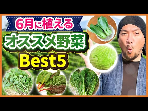 梅雨でも育てやすい！家庭菜園のプロが選んだ「6月に植えるべき野菜」BEST5