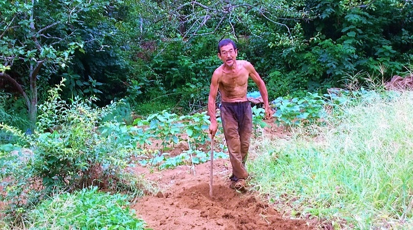 人生にはゼニカネで測れないものがあるらしい。自分の仕事が好きか、職場に行くのが楽しいか。終日雨という日、肌まで滲みて寒い。手が白くふやける。でも淡々ノルマを果たす。明日のため、次の春のため。