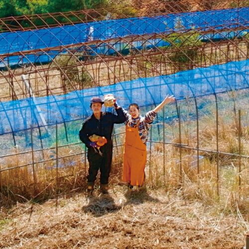 「自然のなか、ニワトリが野生化したような状態で飼っています」と、健吾さん。／「farm1987」静岡県下田市