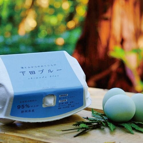 全国からオンライン注文が入る自然養鶏卵「下田ブルー」。／「farm1987」静岡県下田市