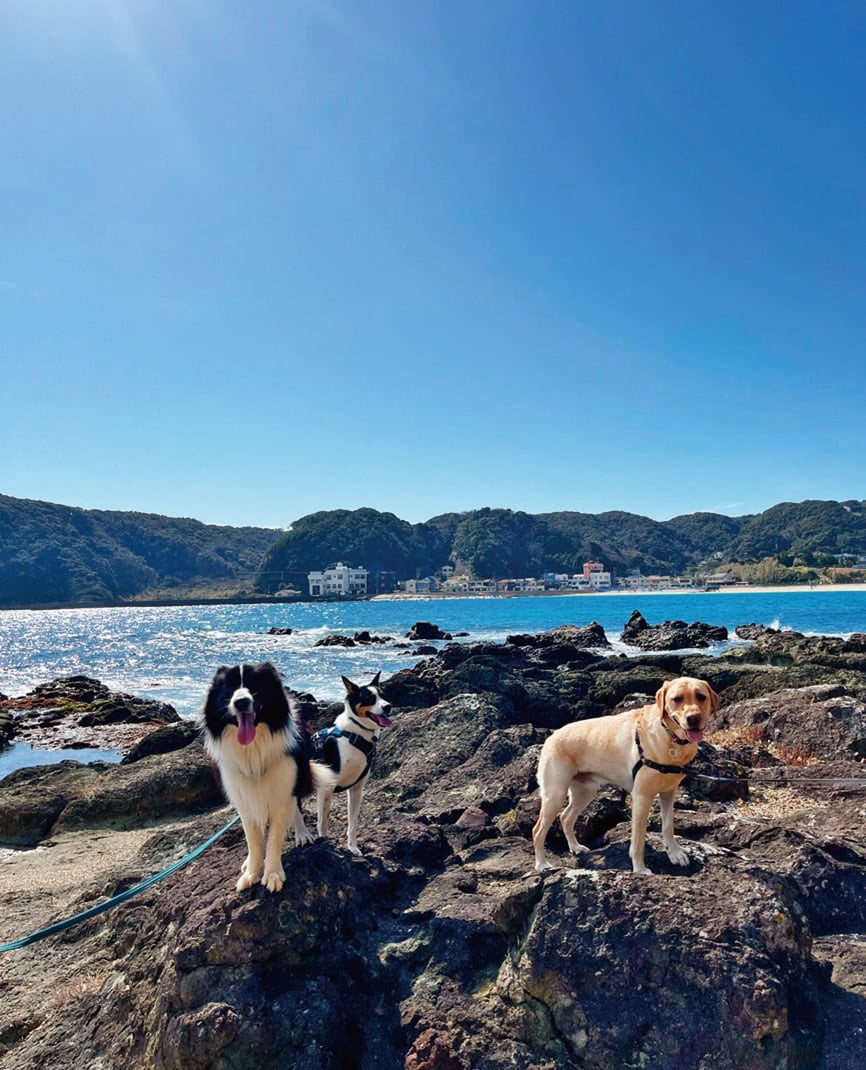 「以前は同世代の友人がいなかったけれど、今はいろんな人が移住してきて楽しい。犬友達も増えました」と、みのりさん。「farm1987」静岡県下田市