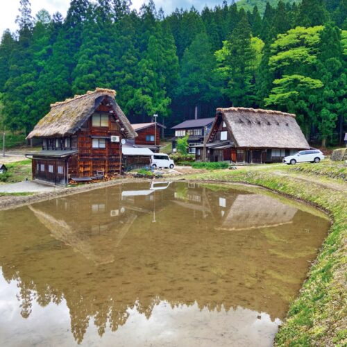 右に見えるのは夫の両親が営む「合掌造り民宿 志みづ」。そのすぐ近くに清水さん一家の自宅がある。／「SOUTH SIDE CAFE」岐阜県白川村