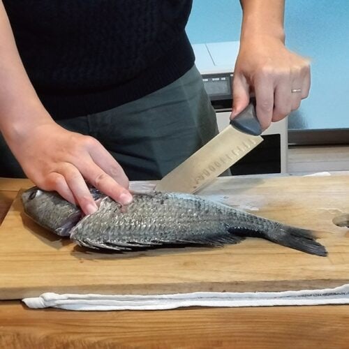近くにある雑賀崎漁港では、漁師から直接、獲れたての魚を購入できる