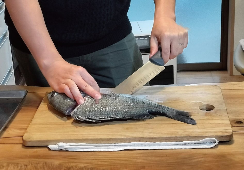 近くにある雑賀崎漁港では、漁師から直接、獲れたての魚を購入できる