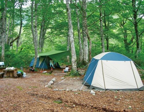 ブナやナラの原生林に囲まれる「白山ブ ナの森キャンプ場」。／岐阜県白川村