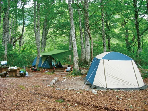 ブナやナラの原生林に囲まれる「白山ブ
ナの森キャンプ場」。／岐阜県白川村