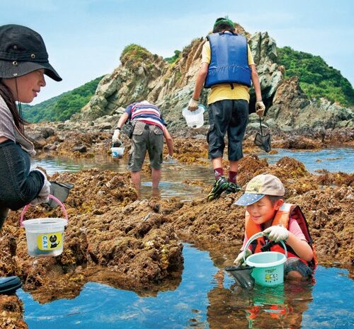自然が多く、子育てにも最適。離島留学事業もある／三重県鳥羽市
