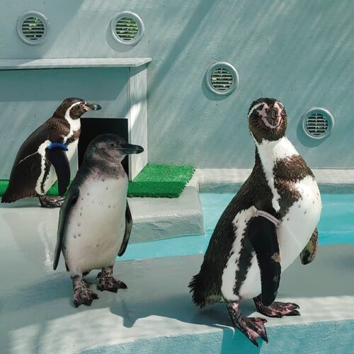 和歌山城動物園／和歌山県和歌山市