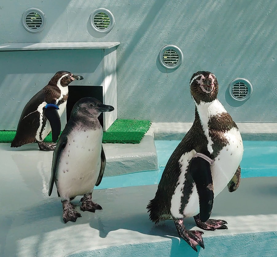 和歌山城動物園／和歌山県和歌山市