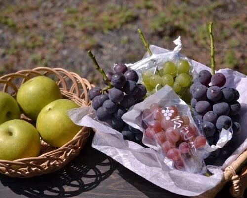 山口県周南市の特産品であるナシ、ブドウ。