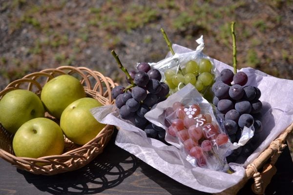 山口県周南市の特産品である須金なしとぶどう。