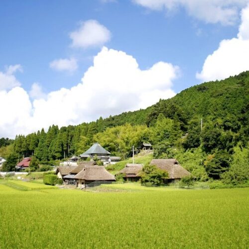 岡山県備前市の吉永エリアの風景。日本の原風景のような景色が広がっています
