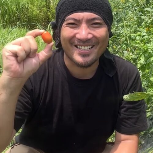この夏、食べきれないほどトマトを収穫したい……と思ったらこの方法！