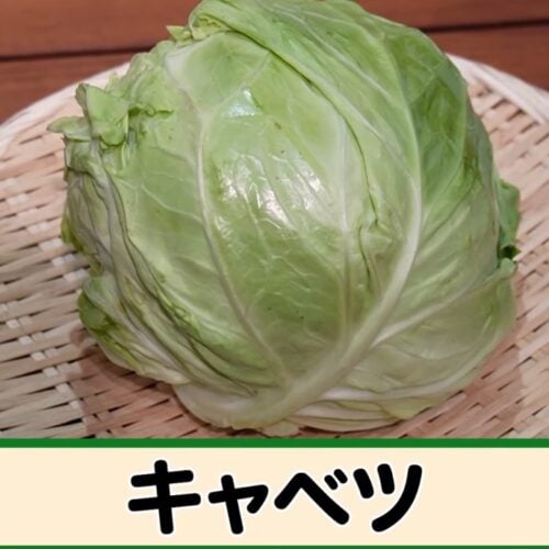 第1位｜ルッコラ