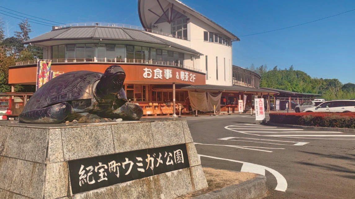 紀宝町ウミガメ公園