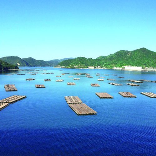 岡山県備前市。日生大橋から見る瀬戸内海の牡蠣筏（いかだ）と、日生のまち並みは絶景。