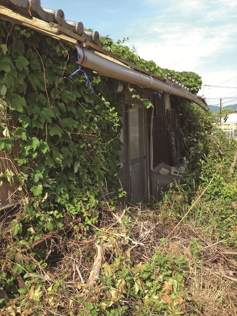 10万円で購入した格安の空き家