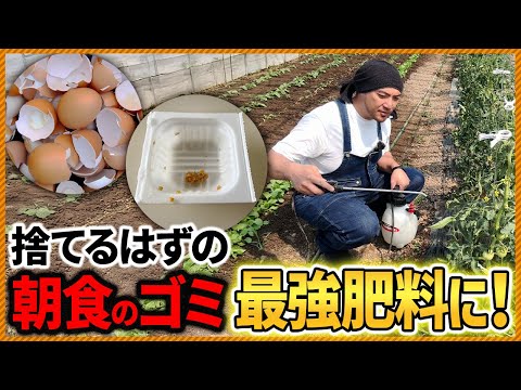 朝ごはんの残りが大活躍！ 家庭菜園に効く納豆と卵の“裏ワザ”活用術