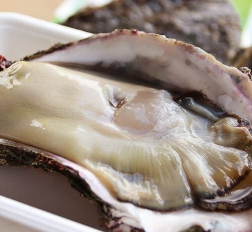 ミネラルをたっぷり含んだ鳥海山からの伏流水で育った、濃厚な味わいの岩ガキが名物。ぜひ現地で味わって。／山形県遊佐町