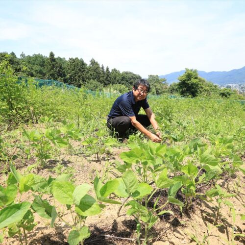 藤岡市鬼石地域で50代で地域おこし協力隊となった
