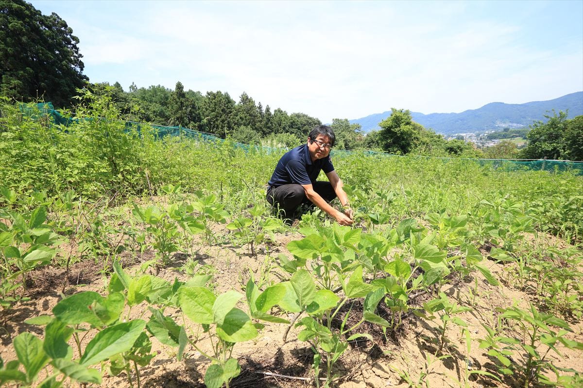 藤岡市鬼石地域で50代で地域おこし協力隊となった