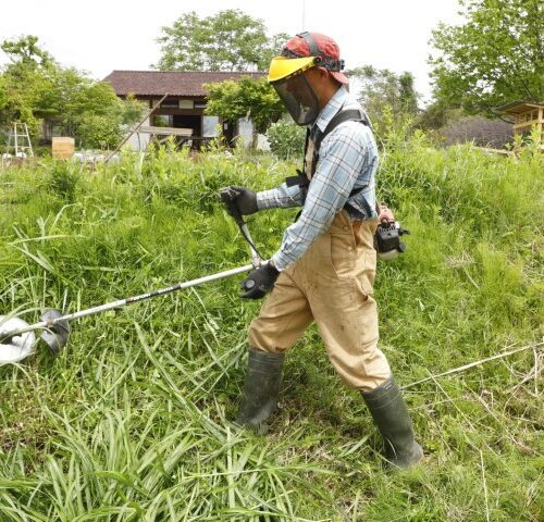 環境に応じて、適した草刈機を使い分けるのが、効率的にラクして草を管理するコツだ。