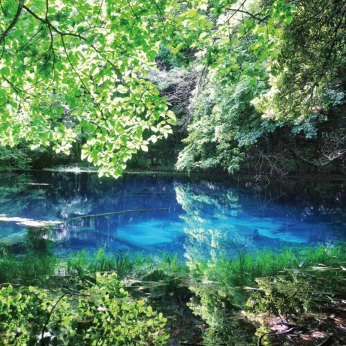 直径約20mの、湧水だけで満たされた池「丸池様」。水の色は幻想的なエメラルドグリーンで、光によって色が変わるという。／山形県遊佐町