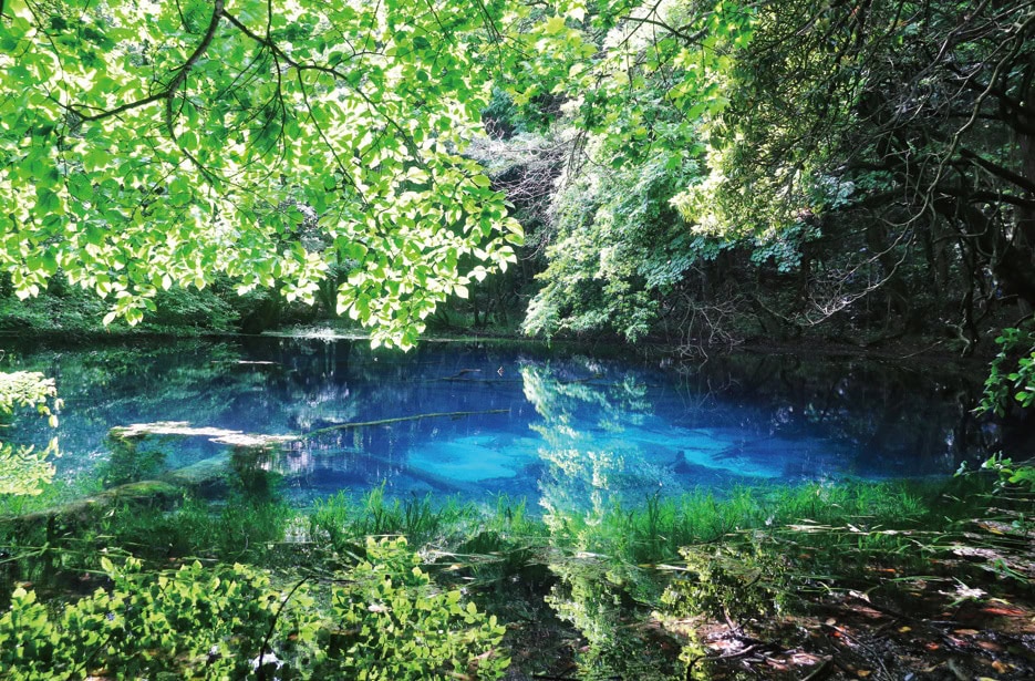 直径約20mの、湧水だけで満たされた池「丸池様」。水の色は幻想的なエメラルドグリーンで、光によって色が変わるという。／山形県遊佐町