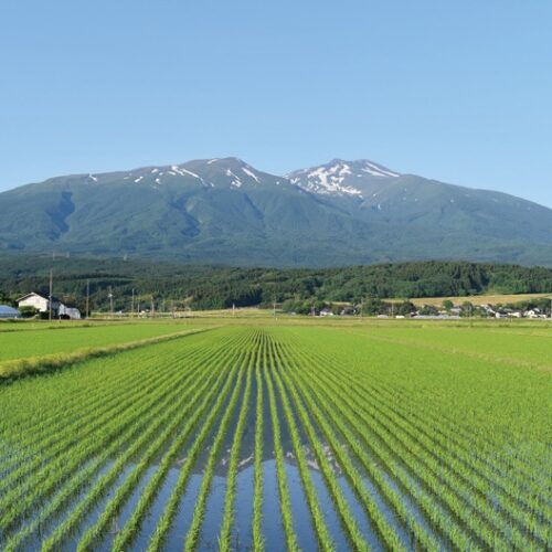 山形県遊佐町