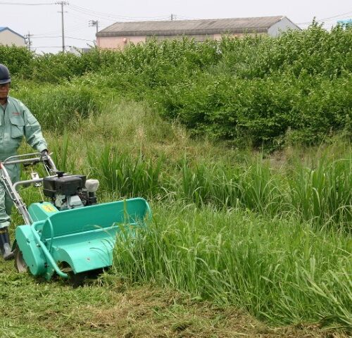 ハンマーナイフモアはロータリー式と比べてパワーがあり、硬い草、背の高い草、つる性の草、密生した草なども無理なく刈り取る。