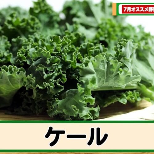 第3位：ケール