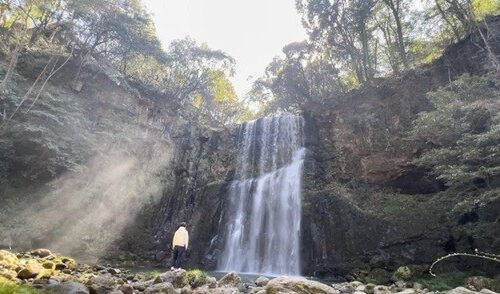 大分県日田市天ケ瀬にある「桜滝」。