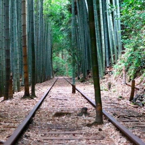 鳥取県の注目スポット「旧国鉄倉吉線廃線跡」。