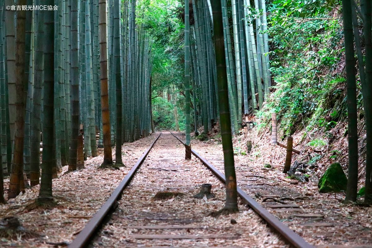 鳥取県の注目スポット「旧国鉄倉吉線廃線跡」。