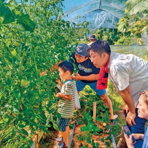 参加者は、農家民泊を1泊2食付き1人3000円で利用可能。／大分県豊後高田市