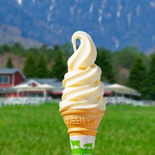 山梨県のご当地お菓子「清泉寮ソフトクリーム」。