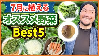 暑さに負けない！農業YouTuber黒壁厳選！ 「7月に植えるべき野菜BEST5」