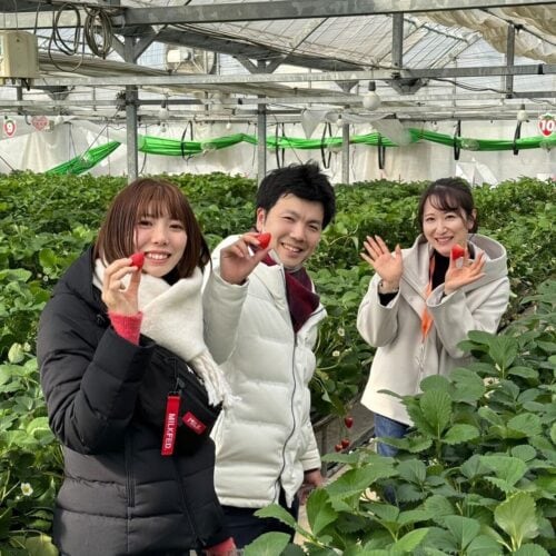 「花の海」では12月から5月にかけてイチゴ狩りが楽しめる。／山口県山陽小野田市
