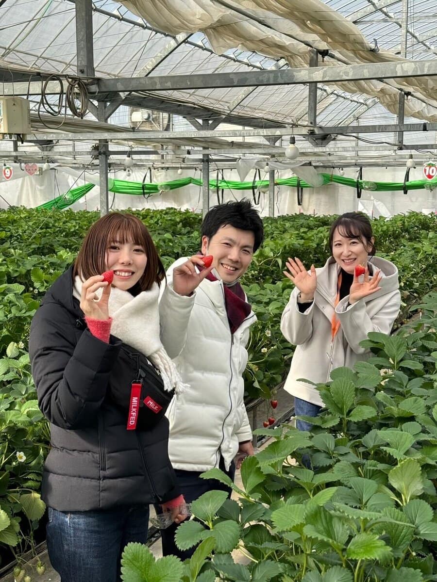 「花の海」では12月から5月にかけてイチゴ狩りが楽しめる。／山口県山陽小野田市