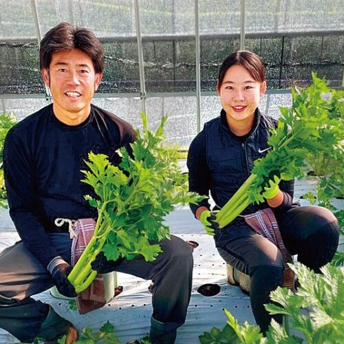 「山形セルリー」の収穫など、参加時期に合わせた農業体験メニューも用意している。／山形県山形市