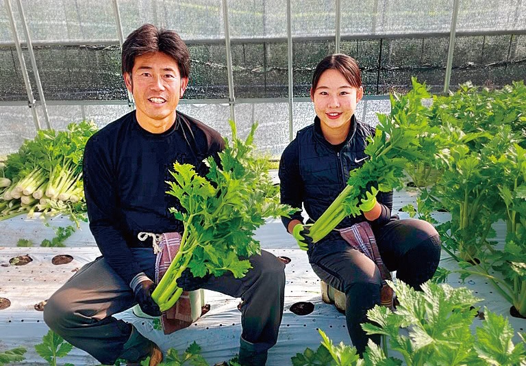 「山形セルリー」の収穫など、参加時期に合わせた農業体験メニューも用意している。／山形県山形市
