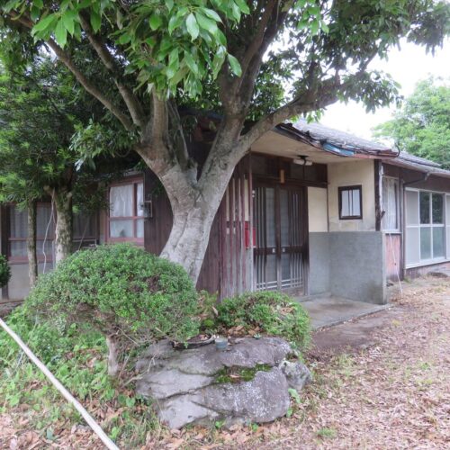 柿、びわ、梅の木があり、家庭菜園も楽しめる平屋【大分県豊後高田市】支援が全国トップクラスの人気移住地 | 温泉や観光名所も豊富