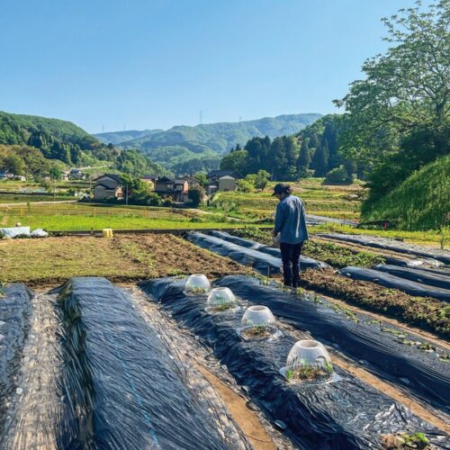 金沢の奥座敷・湯涌（ゆわく）温泉に隣接する市民農園で野菜づくりにも挑戦／石川県金沢市